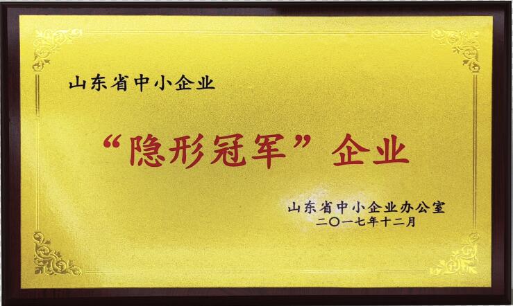 山東省中小企業(yè)“隱形冠軍”單位